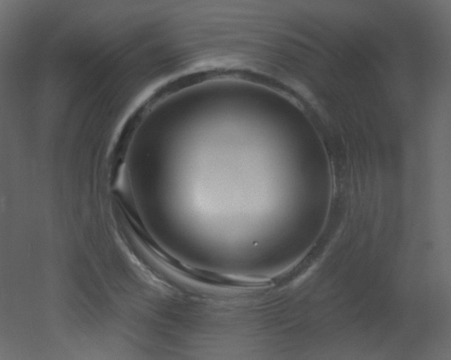 X0000053161118200507111500