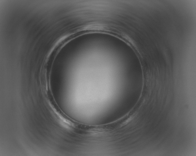 X0000053161123200507111500