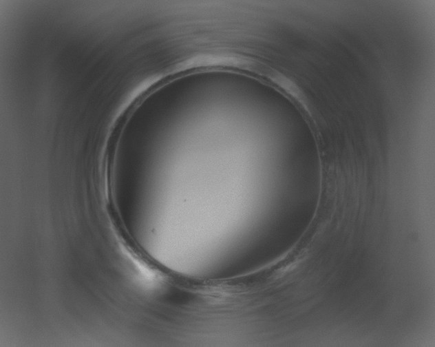 X0000053161127200507111500