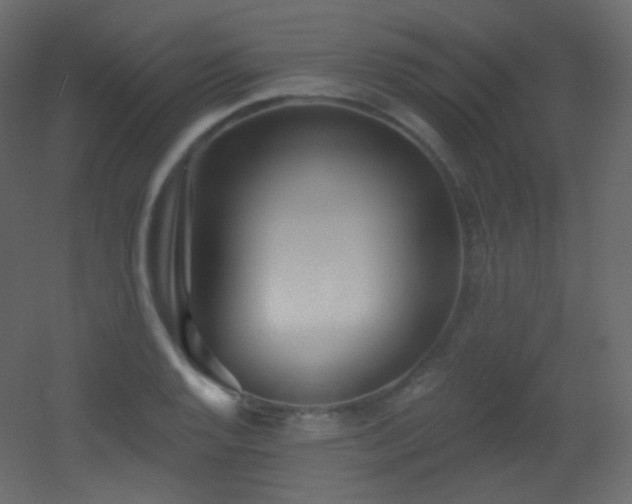 X0000053161128200507111500