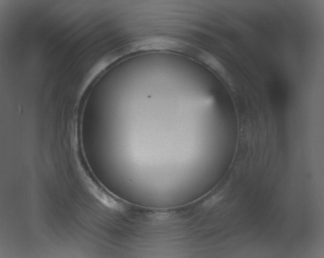 X0000053161130200507111500