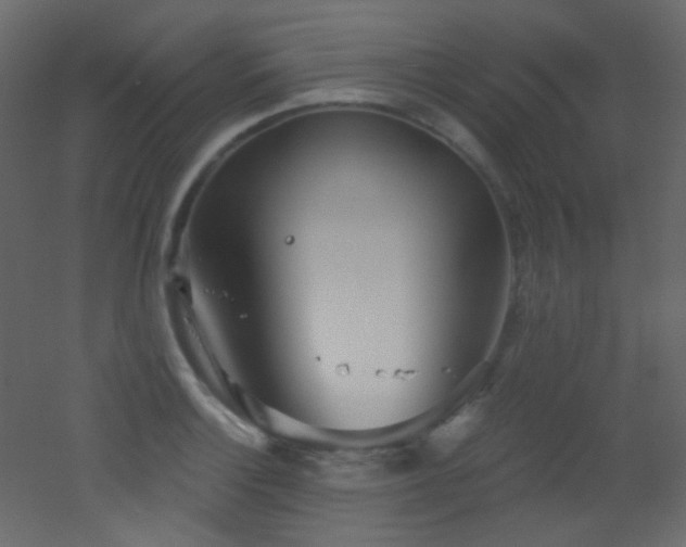 X0000053161132200507111500