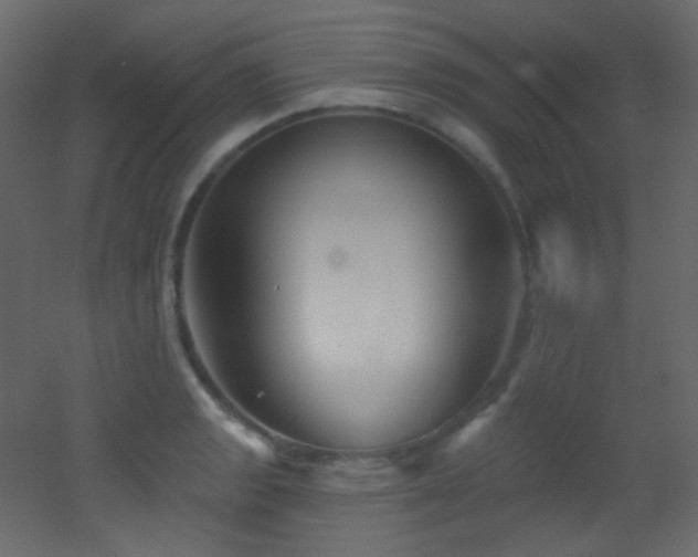 X0000053161133200507111500