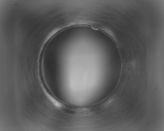 X0000053161135200507111500