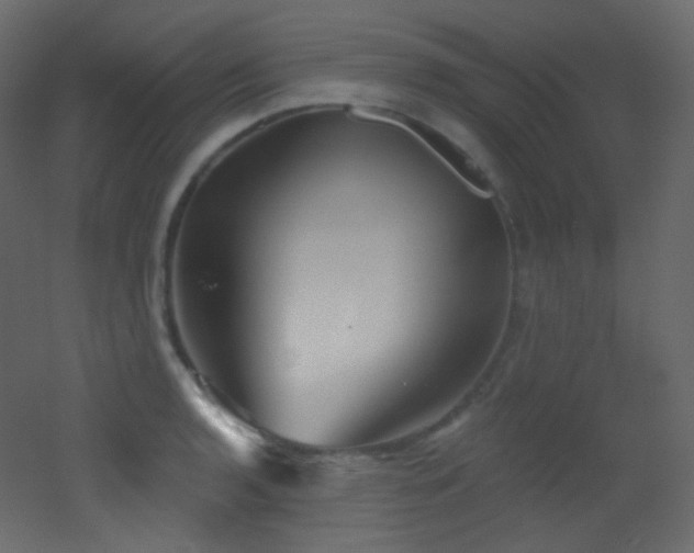X0000053161136200507111500