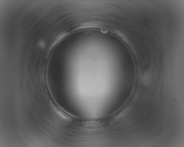 X0000053161137200507111500