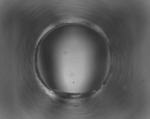X0000053161138200507111500