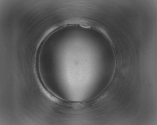 X0000053161139200507111500