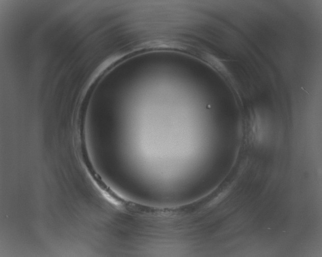 X0000053161141200507111500