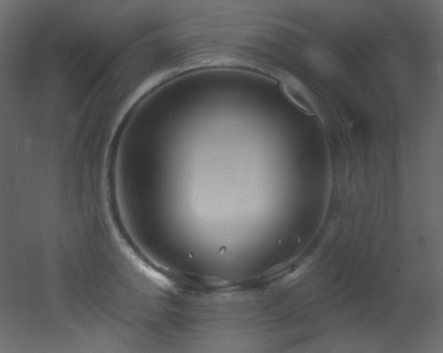X0000053161142200507111500