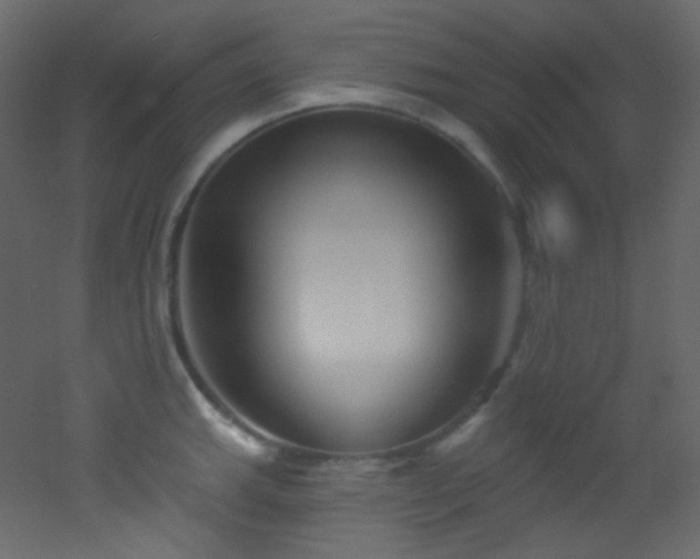 X0000053161143200507111500