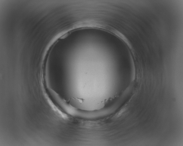 X0000053161144200507111500