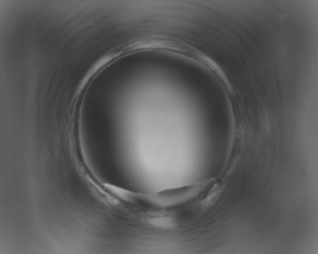 X0000053161146200507111500