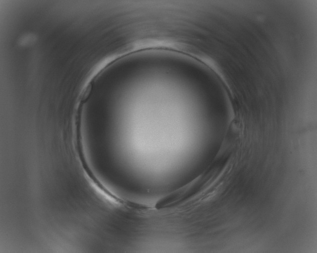 X0000053161151200507111500