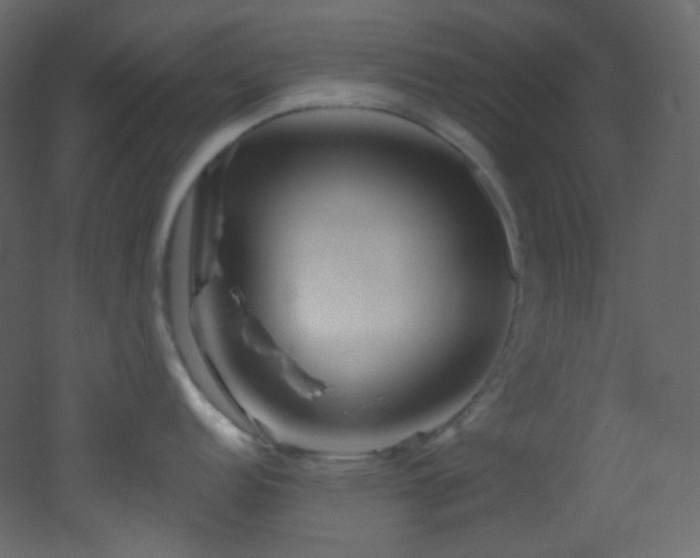 X0000053161152200507111500