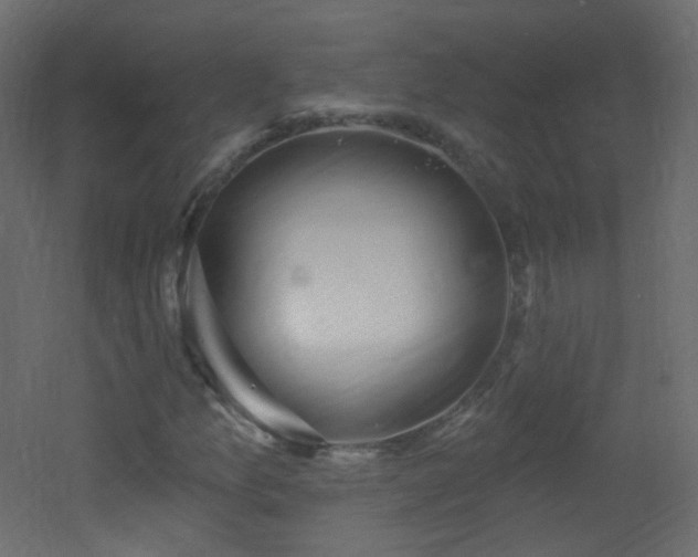 X0000053161157200507111500