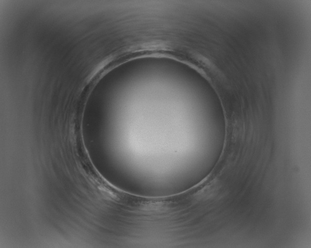X0000053161162200507111500