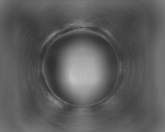 X0000053161163200507111459