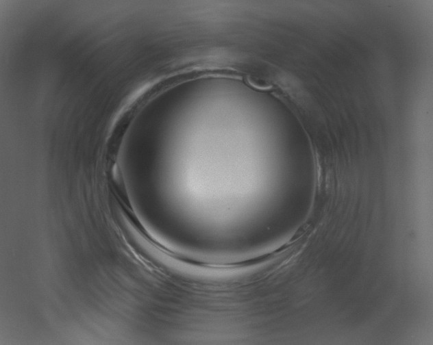 X0000053161164200507111459