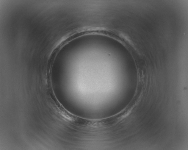 X0000053161165200507111459