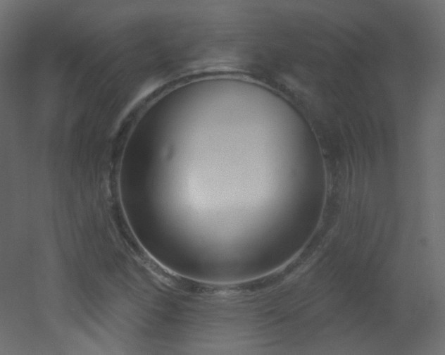 X0000053161166200507111459
