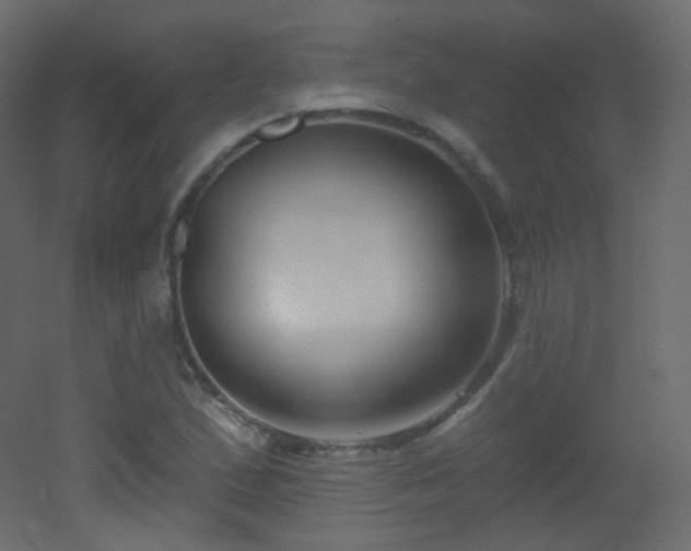 X0000053161167200507111459
