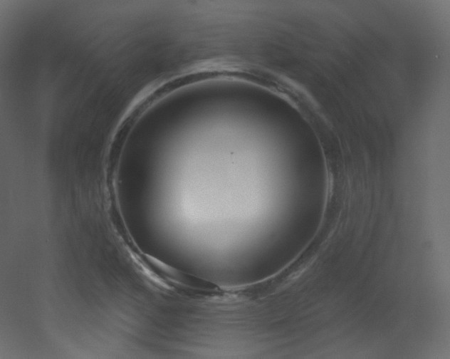X0000053161168200507111459