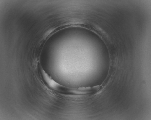 X0000053161169200507111459