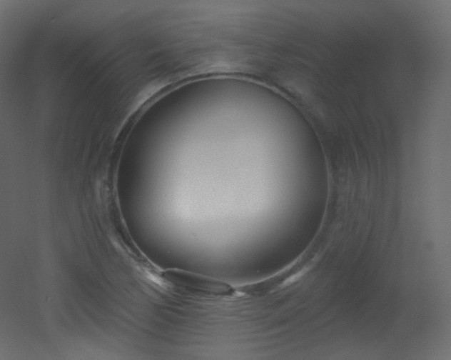 X0000053161170200507111459