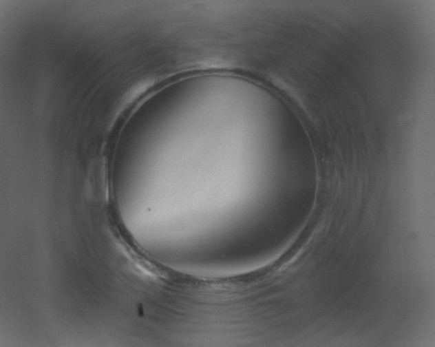 X0000053161171200507111459