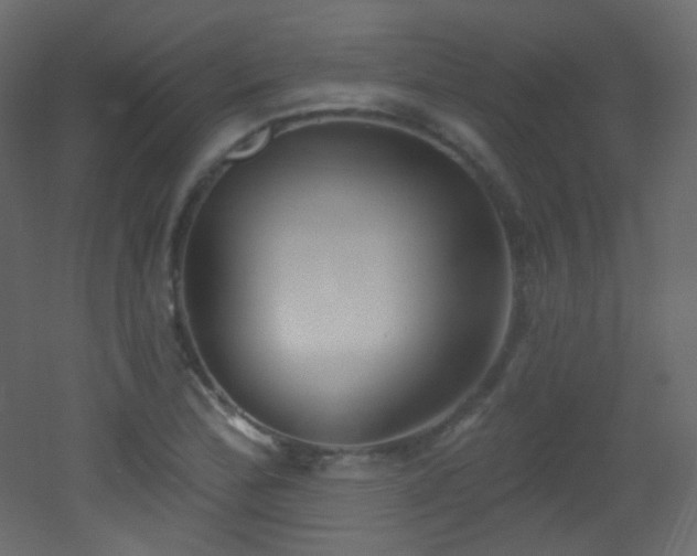 X0000053161172200507111459