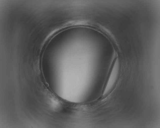 X0000053161174200507111459