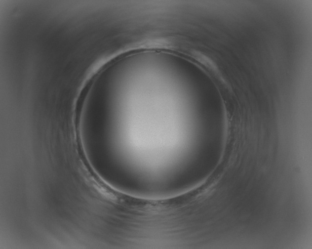 X0000053161176200507111459