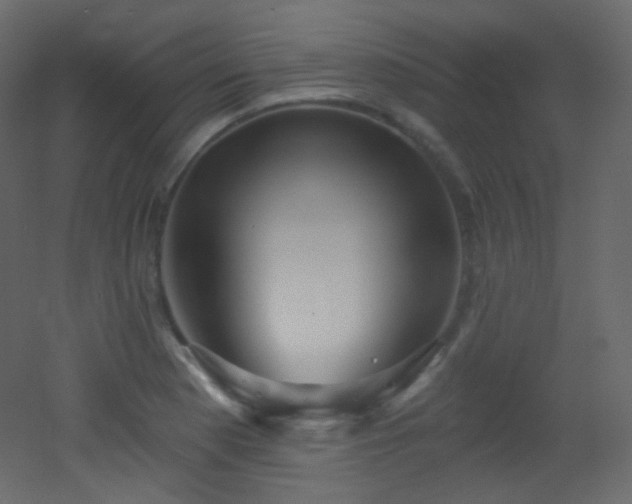 X0000053161177200507111459
