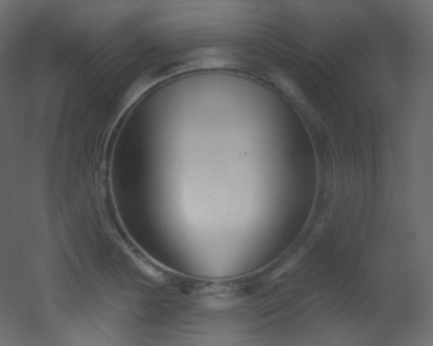 X0000053161178200507111459