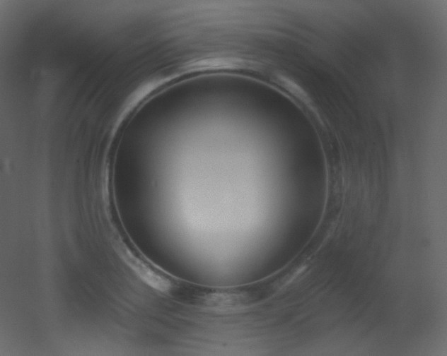 X0000053161179200507111459