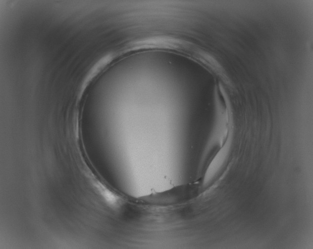 X0000053161180200507111459