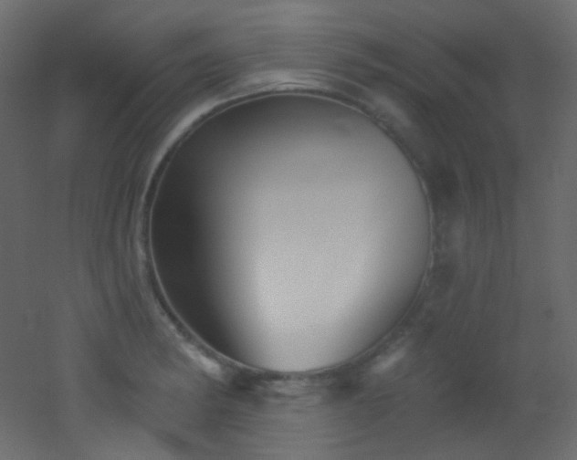 X0000053161182200507111459
