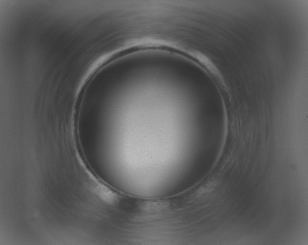 X0000053161183200507111459