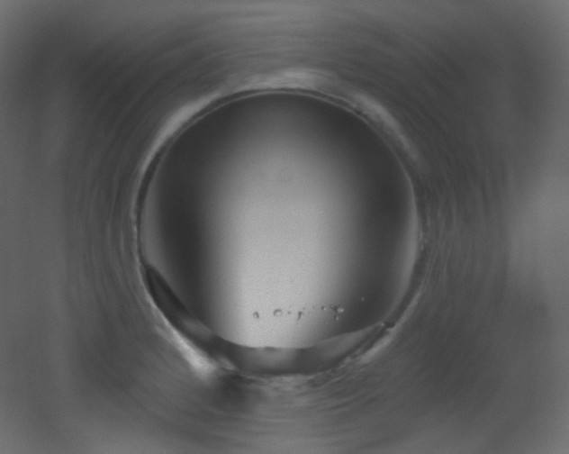X0000053161184200507111459