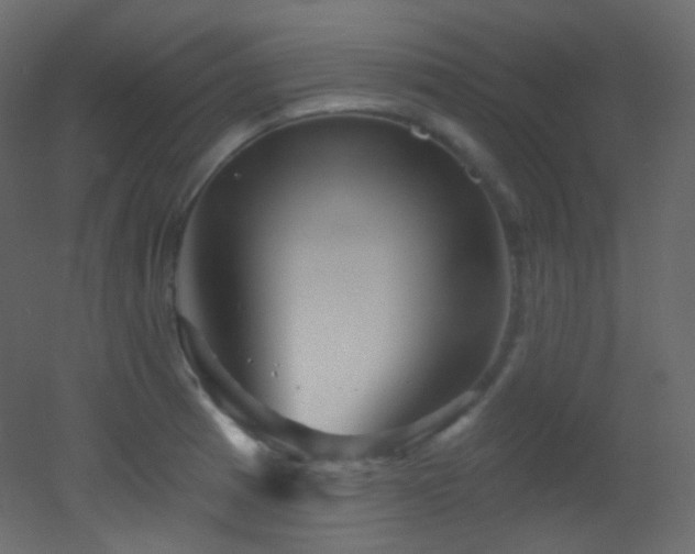 X0000053161185200507111459