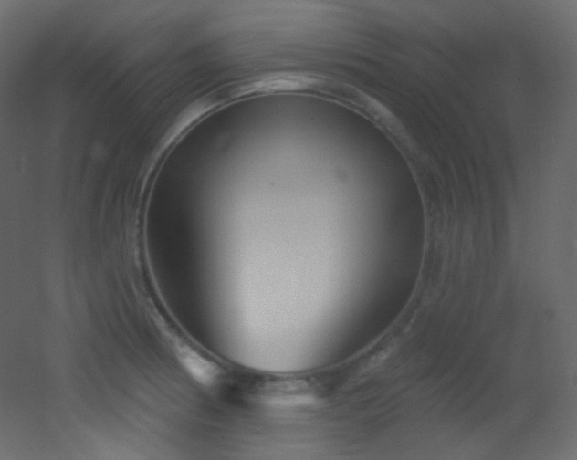X0000053161186200507111459