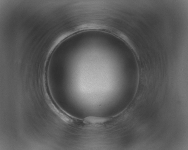 X0000053161187200507111459