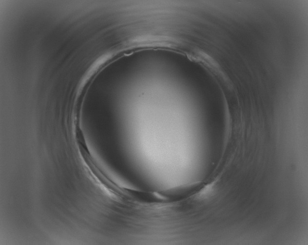 X0000053161188200507111459