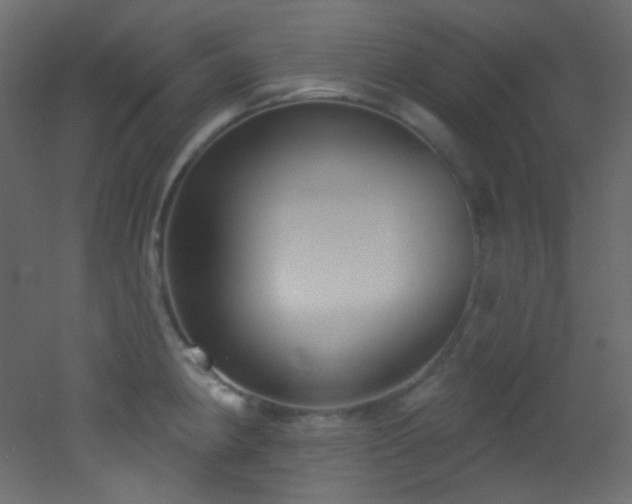 X0000053161190200507111459