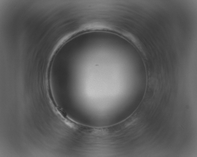 X0000053161191200507111459