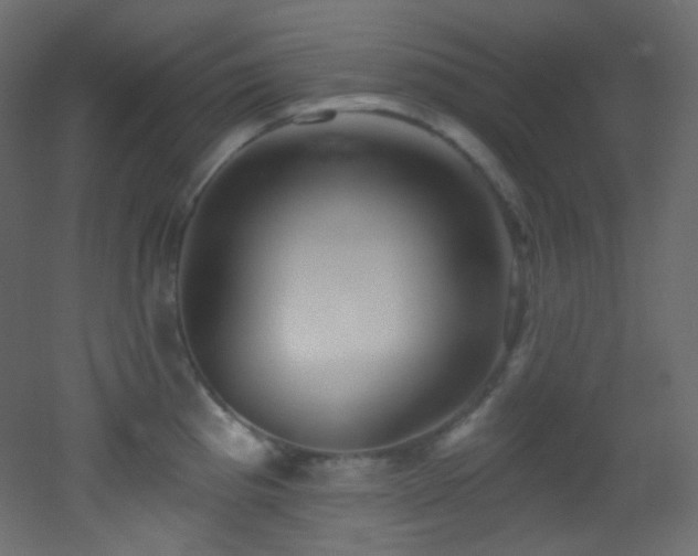 X0000053161193200507111459