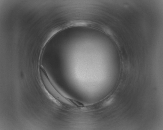 X0000053161194200507111459