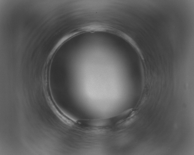 X0000053161195200507111459