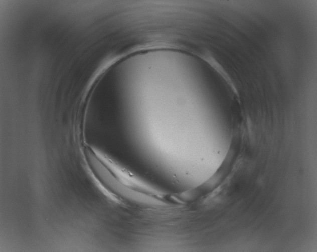 X0000053161197200507111459